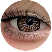 19.webp